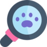 search-icon search-icon
